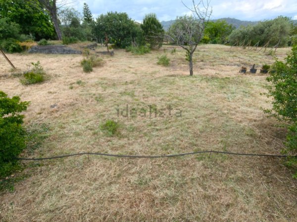 terreno agricolo in vendita a Piedimonte Etneo