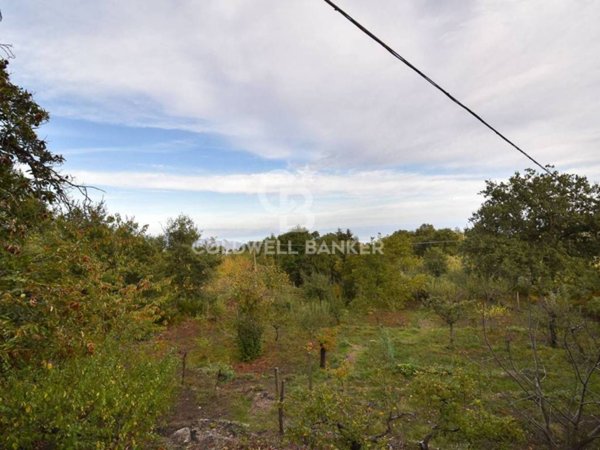 terreno agricolo in vendita a Piedimonte Etneo in zona Vena