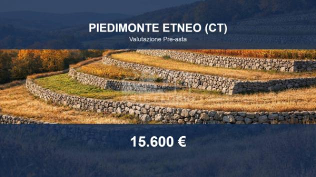 terreno agricolo in vendita a Piedimonte Etneo