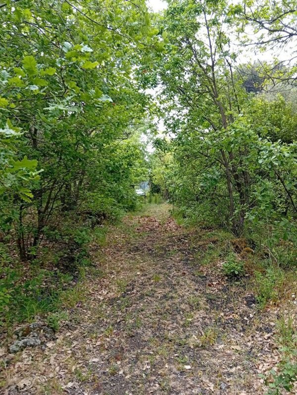 rudere in vendita a Piedimonte Etneo in zona Vena