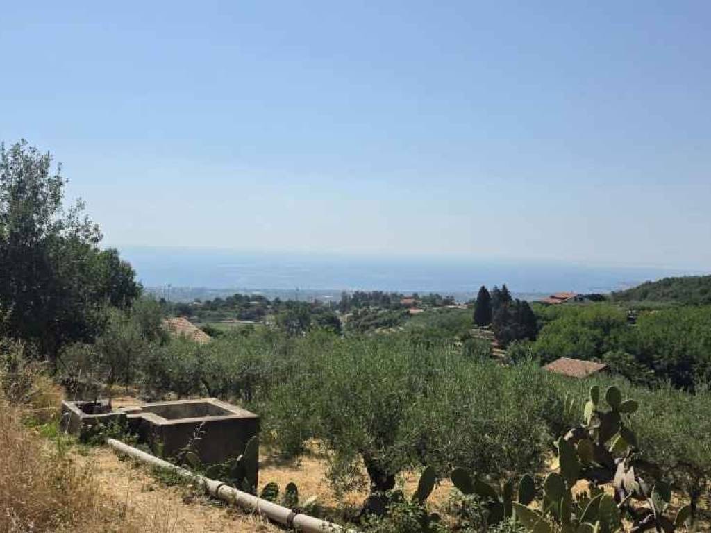 terreno agricolo in vendita a Piedimonte Etneo
