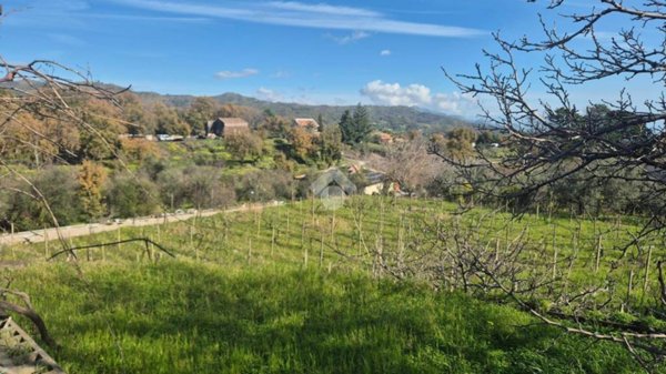 terreno agricolo in vendita a Piedimonte Etneo in zona Presa