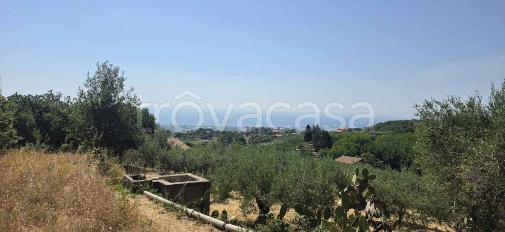 terreno agricolo in vendita a Piedimonte Etneo