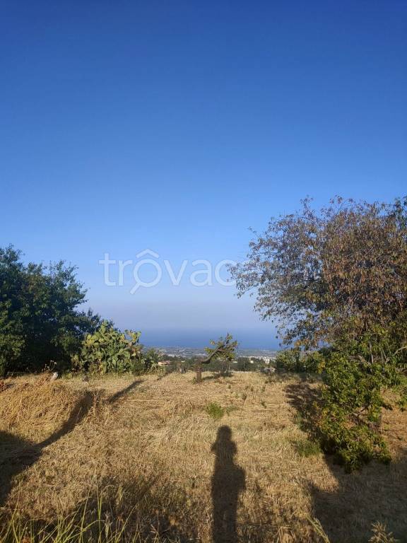 terreno agricolo in vendita a Piedimonte Etneo in zona Presa