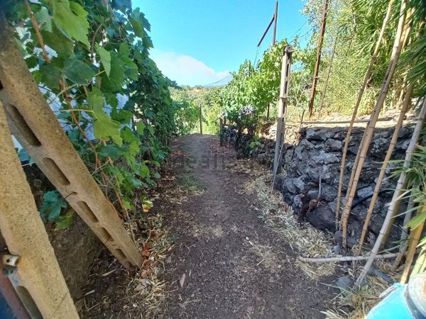 casale in vendita a Piedimonte Etneo