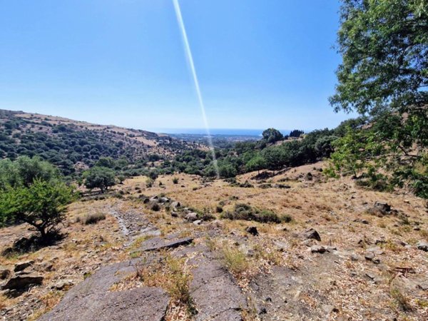 terreno in vendita a Piedimonte Etneo in zona Presa