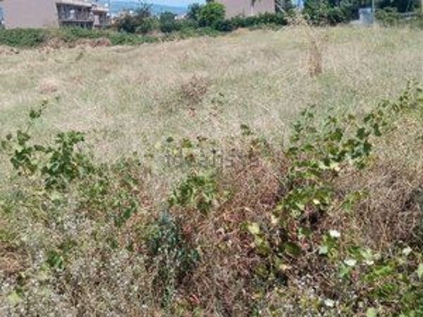 terreno in vendita a Piedimonte Etneo