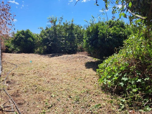 terreno in vendita a Piedimonte Etneo