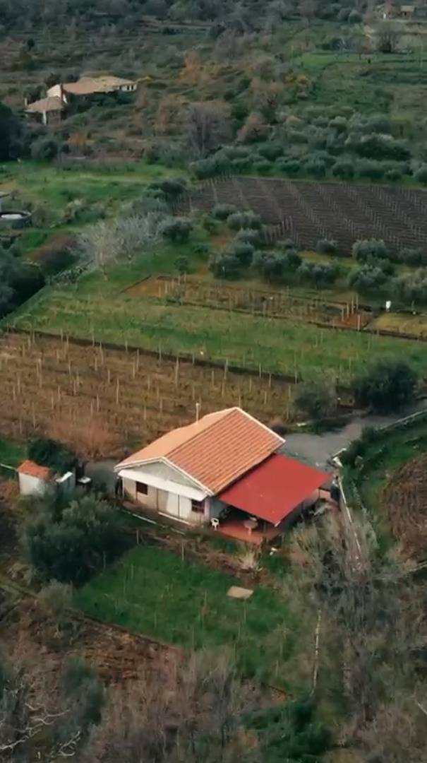 casa indipendente in vendita a Piedimonte Etneo