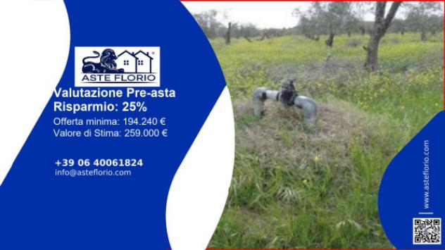terreno agricolo in vendita a Ramacca