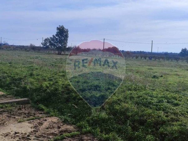 terreno agricolo in vendita a Ramacca
