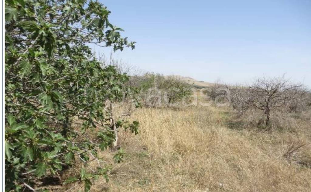 terreno agricolo in vendita a Ramacca