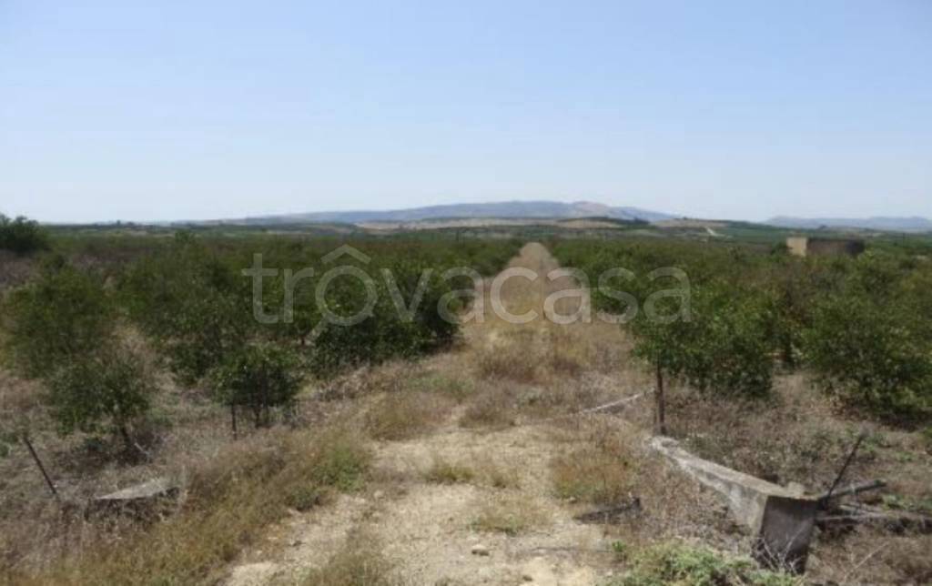 terreno agricolo in vendita a Ramacca
