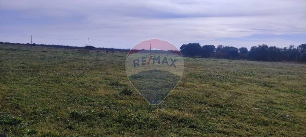 terreno agricolo in vendita a Ramacca