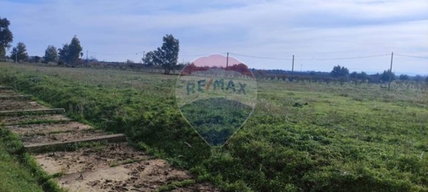 terreno agricolo in vendita a Ramacca