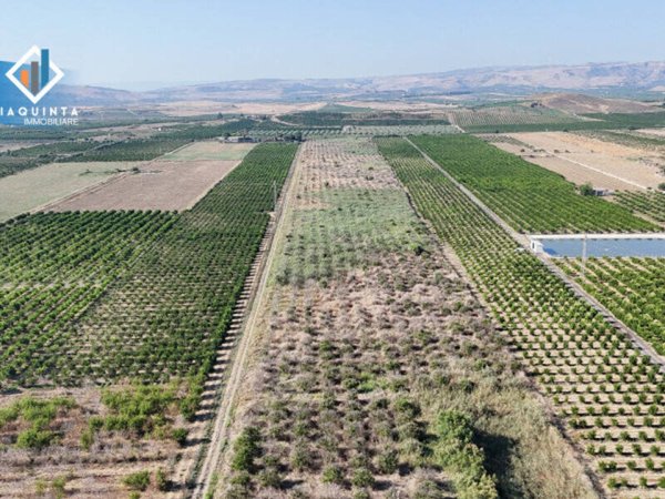 terreno agricolo in vendita a Ramacca