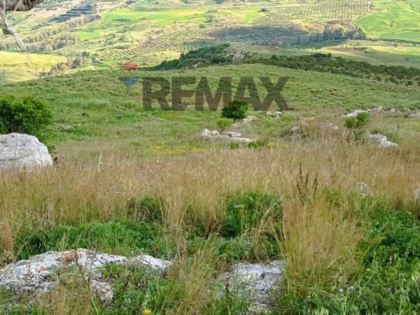 terreno agricolo in vendita a Ramacca