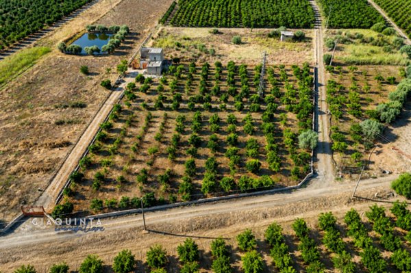 terreno agricolo in vendita a Ramacca