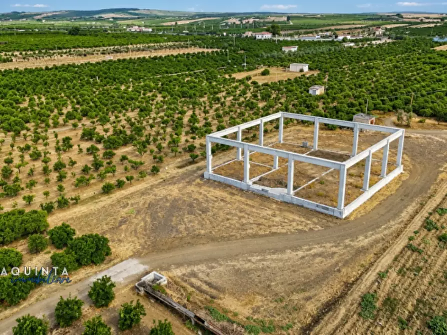 terreno agricolo in vendita a Ramacca