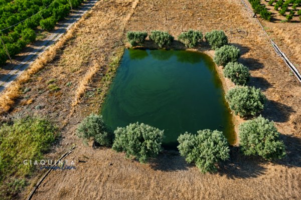 terreno in vendita a Ramacca