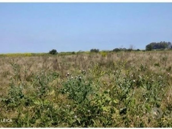 terreno in vendita a Ramacca