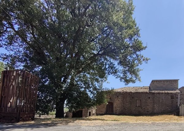 quadrivano in vendita a Randazzo