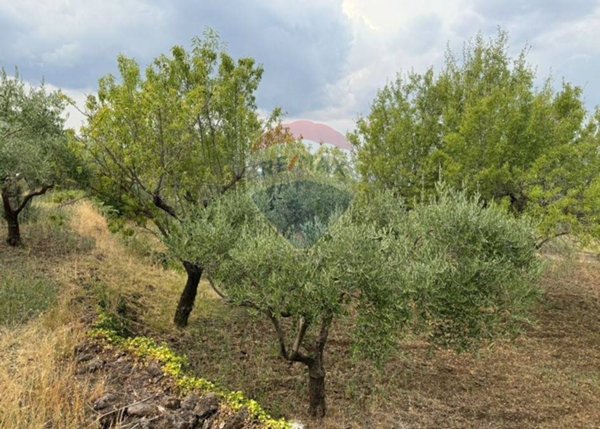 rudere in vendita a Randazzo