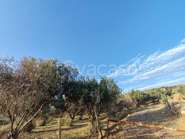 terreno agricolo in vendita a Randazzo