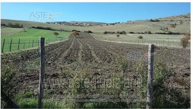 terreno agricolo in vendita a Randazzo in zona Flascio