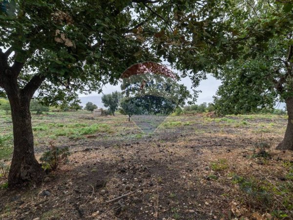 terreno agricolo in vendita a Randazzo