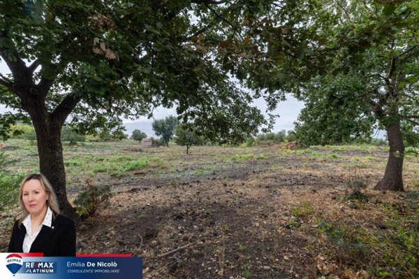 terreno agricolo in vendita a Randazzo