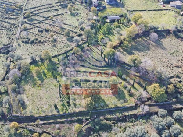 terreno agricolo in vendita a Randazzo