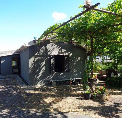 terreno agricolo in vendita a Randazzo