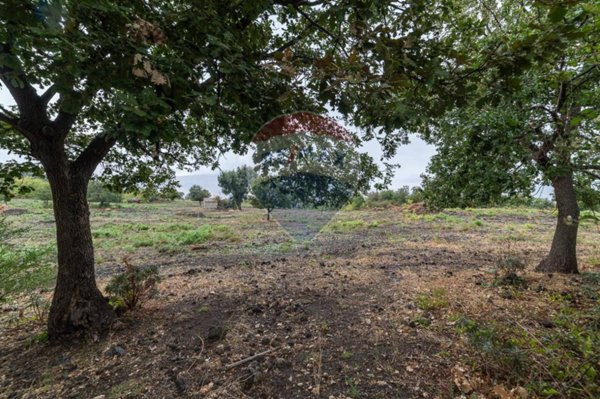 terreno agricolo in vendita a Randazzo
