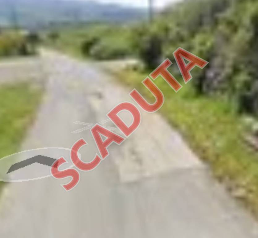 terreno agricolo in vendita a Randazzo in zona Flascio