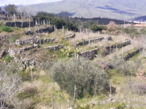 appartamento in vendita a Randazzo