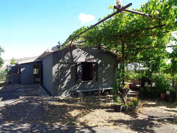 terreno agricolo in vendita a Randazzo