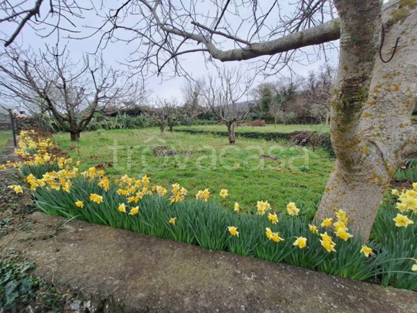 casale in vendita a Randazzo