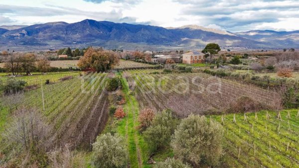 terreno agricolo in vendita a Randazzo
