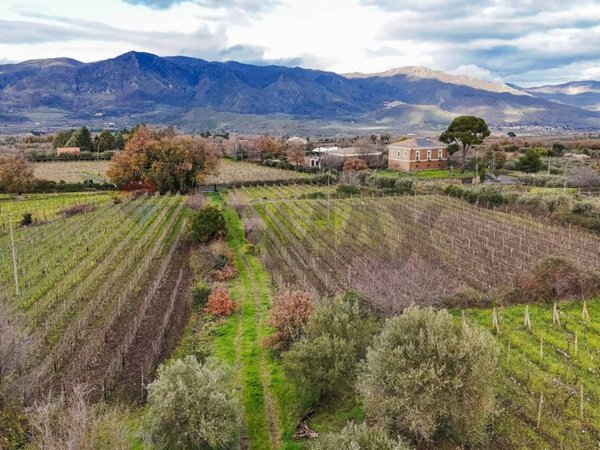 terreno agricolo in vendita a Randazzo