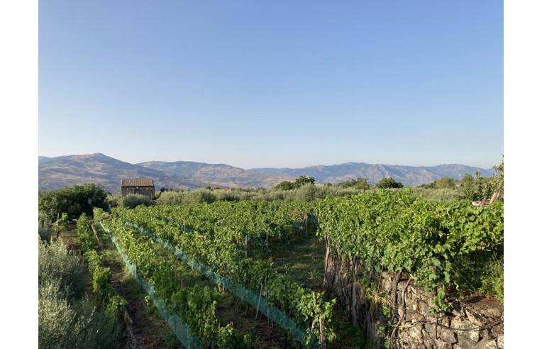 terreno agricolo in vendita a Randazzo