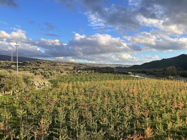 casale in vendita a Randazzo