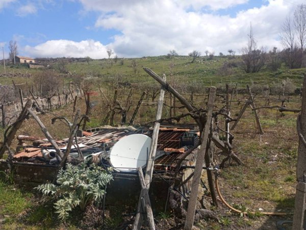 casa indipendente in vendita a Randazzo
