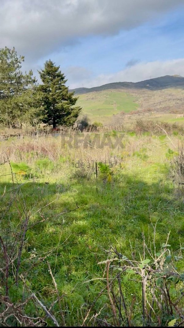 terreno edificabile in vendita a Randazzo