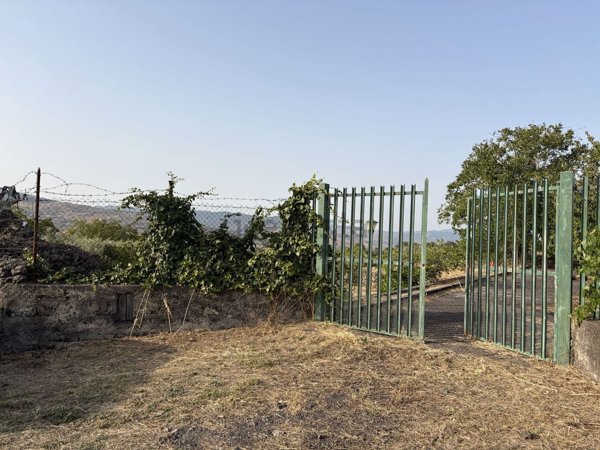 terreno agricolo in vendita a Randazzo