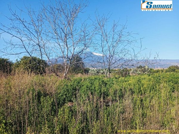 terreno agricolo in vendita a Riposto