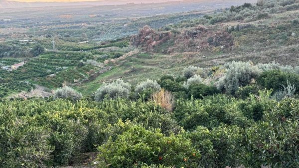terreno agricolo in vendita a Riposto in zona Archi