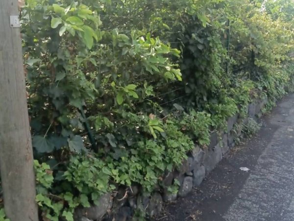 terreno agricolo in vendita a Riposto in zona Carruba