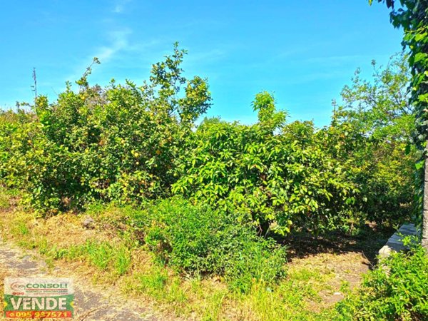 terreno agricolo in vendita a Riposto in zona Carruba