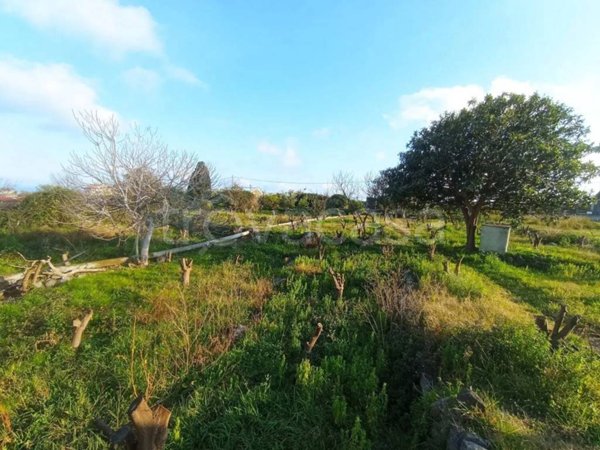 terreno agricolo in vendita a Riposto in zona Altarello